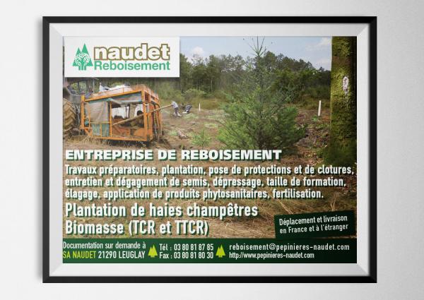 publicité bois foret 